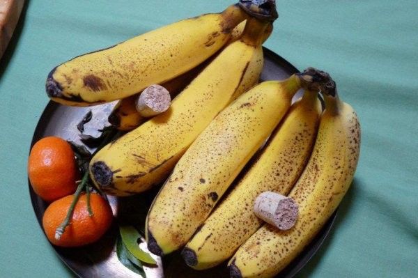 éviter que les mouches ne viennent sur vos fruit